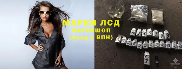 прущие крисы Белокуриха