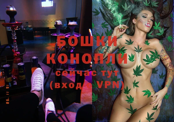 прущие крисы Белокуриха