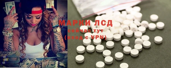 спайс Беломорск