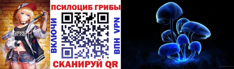 Галлюциногенные грибы GOLDEN TEACHER  МЕГА ссылка  Озёрск  купить  