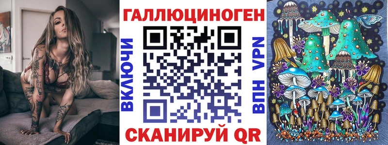 Галлюциногенные грибы Psilocybe Озёрск