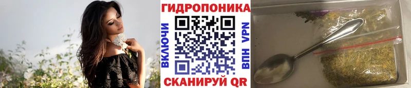 Бошки марихуана Amnesia Озёрск